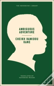 Capa do artigo Ambiguous Adventure
