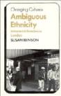 Ambiguous Ethnicity - Preview