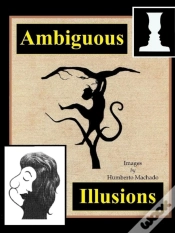 Capa do artigo Ambiguous Illusions