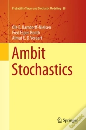 Capa do artigo Ambit Stochastics