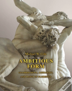 Capa do artigo Ambitious Form