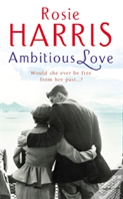 Capa do artigo Ambitious Love