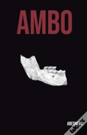 Capa do artigo Ambo