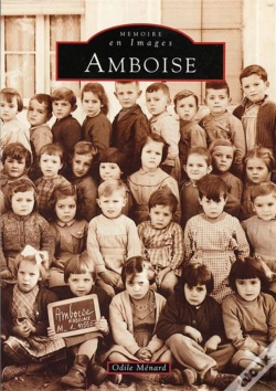 Capa do artigo Amboise