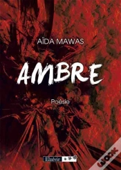 Capa do artigo Ambre