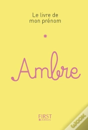 Capa do artigo Ambre