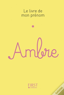 Capa do artigo Ambre