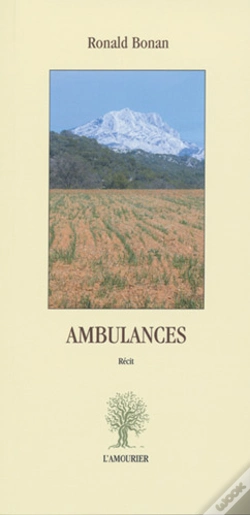 Capa do artigo Ambulances