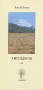 Ambulances - Preview
