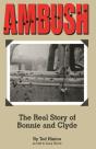 Ambush - Preview
