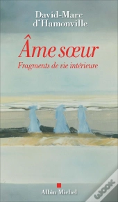 Âme Soeur ; Fragments De Vie Intérieure