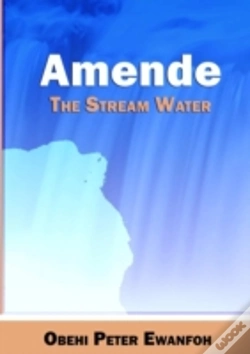 Capa do artigo Amende - The Stream Water