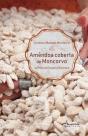 Amêndoa Coberta de Moncorvo - Preview