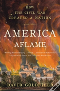 Capa do artigo America Aflame