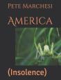 America - Preview
