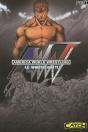 America World Wrestling T.3 ; Le Winter Battle - Preview