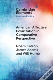 Capa do artigo American Affective Polarization In Comparative Perspective