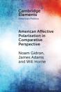 American Affective Polarization In Comparative Perspective - Preview