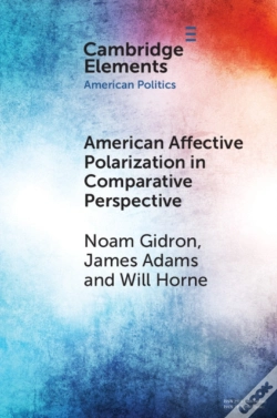 Capa do artigo American Affective Polarization In Comparative Perspective