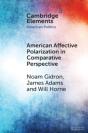 American Affective Polarization In Comparative Perspective - Preview