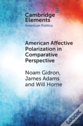 American Affective Polarization In Comparative Perspective