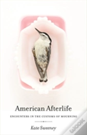 American Afterlife