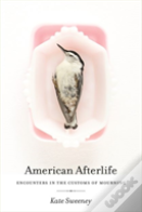 American Afterlife