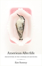American Afterlife - Preview
