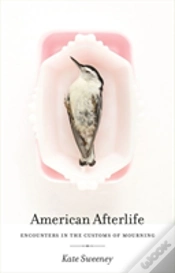 Capa do artigo American Afterlife