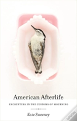 Capa do artigo American Afterlife