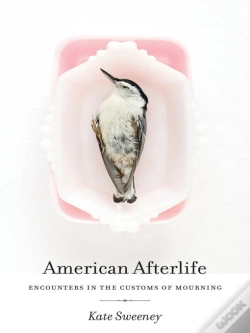 Capa do artigo American Afterlife