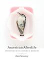 American Afterlife - Preview