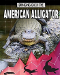 American Alligator - Preview