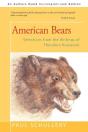 American Bears - Preview