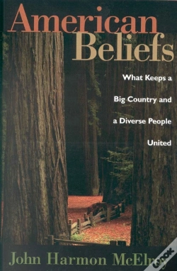 Capa do artigo American Beliefs