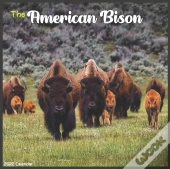 American Bison 2022 Calendar
