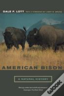 American Bison