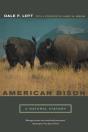 American Bison - Preview