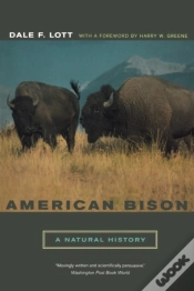 Capa do artigo American Bison