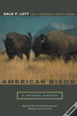Capa do artigo American Bison