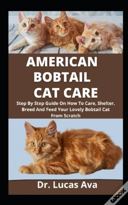Capa do artigo American Bobtail Cat Care
