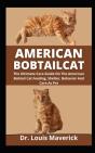 American Bobtail Cat - Preview