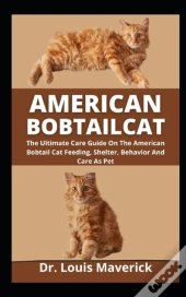 American Bobtail Cat