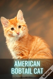 Capa do artigo American Bobtail Cat