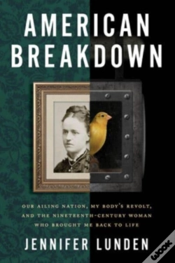 Capa do artigo American Breakdown
