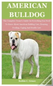 Capa do artigo American Bull