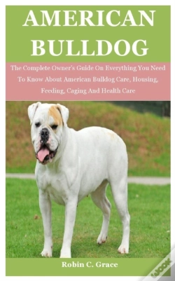 Capa do artigo American Bull