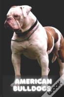 American Bulldog