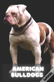 Capa do artigo American Bulldog