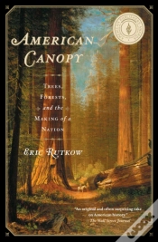 Capa do artigo American Canopy